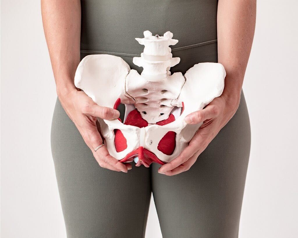 Pelvic Health Physio Yarraville Womens Health Experts